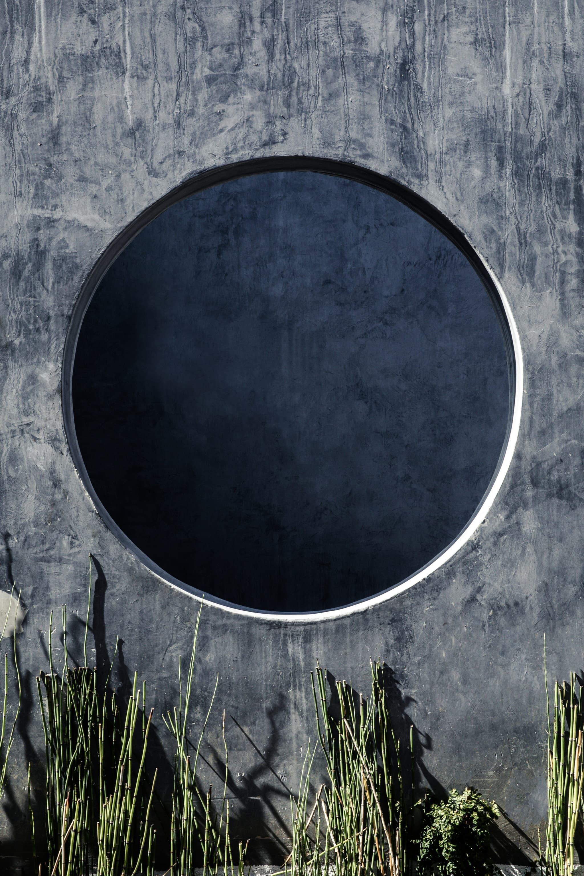 Photo de Youzi Lin de Unsplash